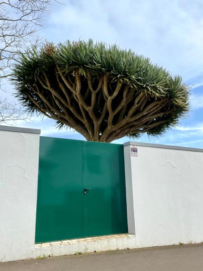 Casa As Sete Villa Angra do Heroismo Ngoại thất bức ảnh